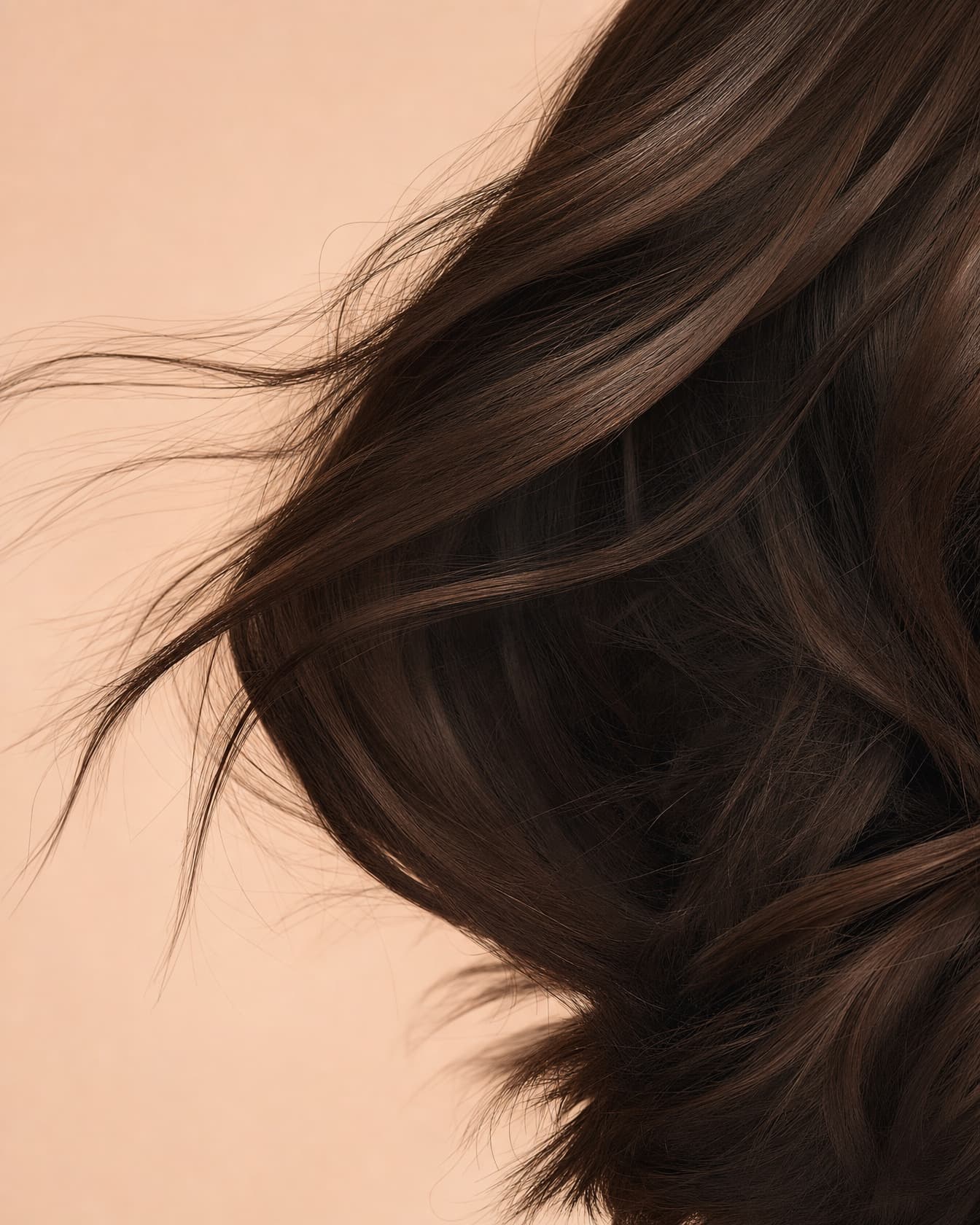 Close crop of glossy brunette lengths catching bronze light